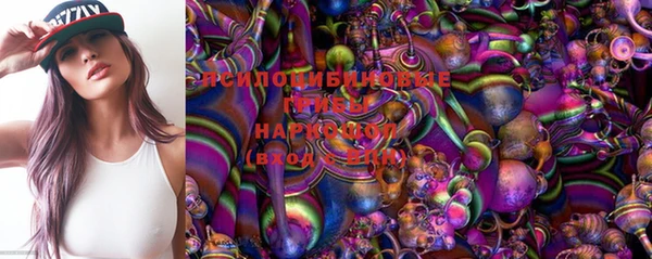 прущая мука Каменногорск