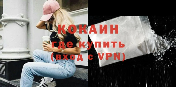 амф Каменка